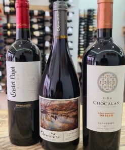 South American Taster Box